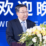 Zengwei Jiang (Former Chairman, China Council for the Promotion of International Trade Honorary Adviser, China Chamber of International Commerce.)