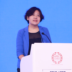 LU Mei (China APEC Senior Official, Counselor of the Department of International Economic Affairs of MFA)