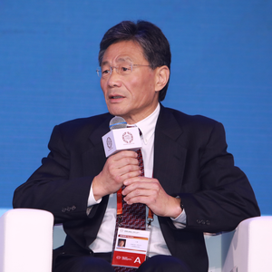 DING Jian (Vice President and CTO, Hanergy Thin Film Power Group)