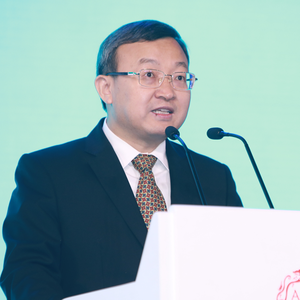 WANG Shouwen (Vice Minister of Commerce and Deputy International Trade Representative of China)