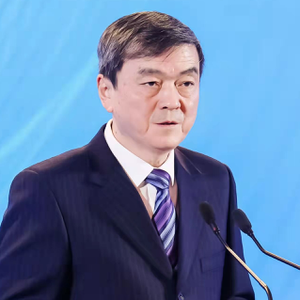 XU Kemin (Chief Economist, Ministry of Industry and Information Technology)