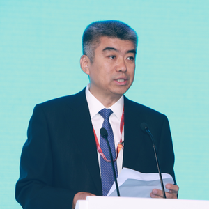 CHEN Zhou (Vice Chairman, China Council for the Promotion of International Trade)