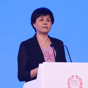 GAN Lin (Vice Minister, State Administration for Market Regulation)