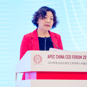 LU Mei (China APEC Senior Official)