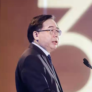 SU Wei (Deputy Secretary General, National Development and Reform Commission)