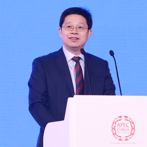 HUANG Yong (Director General, International Cooperation Center of the National Development and Reform Commission of China)
