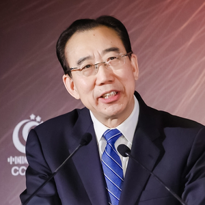 WU Hailong (President of China Public Diplomacy Association)